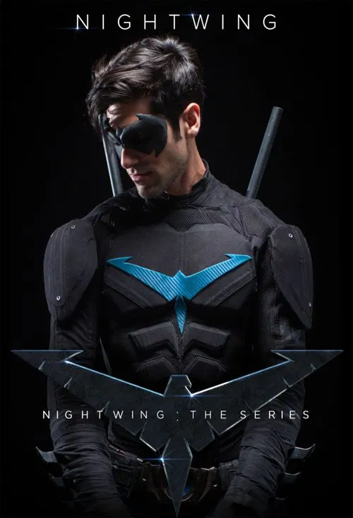 Nightwing: The Series tv show poster