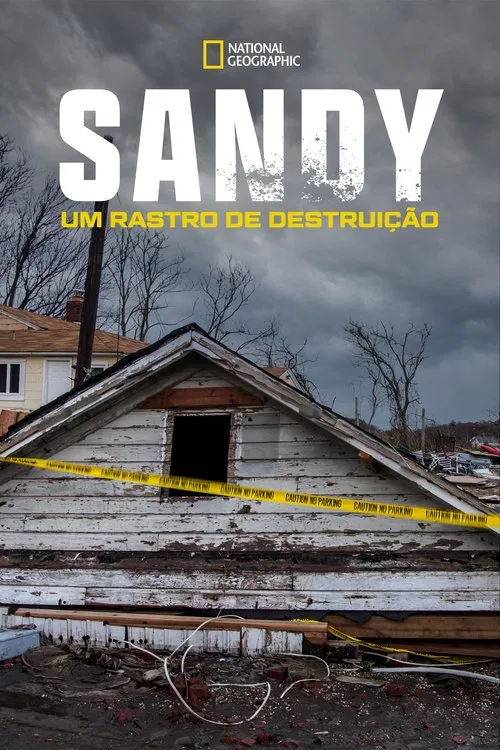 Poster do filme Sandy: Um Rastro de Destruição