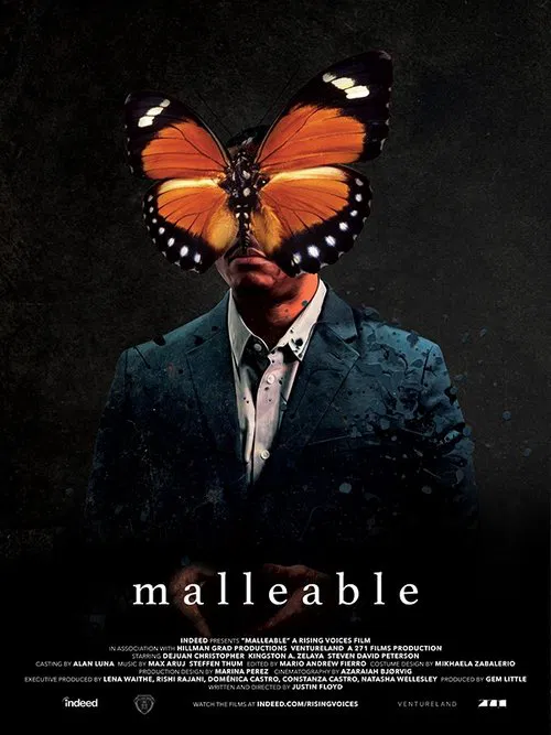 Malleable movie poster