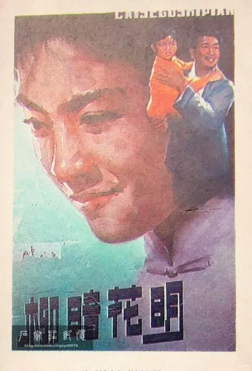Poster do filme 柳暗花明