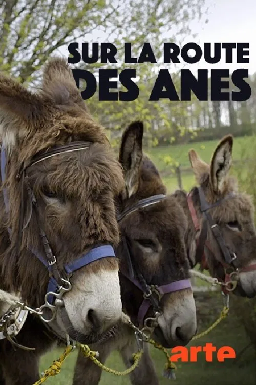 Sur la route des ânes movie poster
