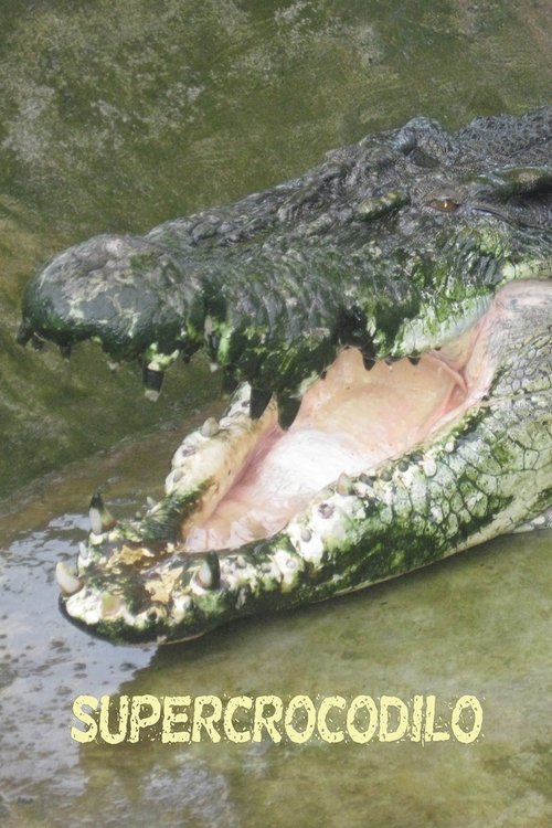 Poster do filme Supercrocodilo