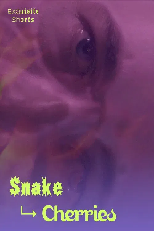 Snake to Cherries movie poster