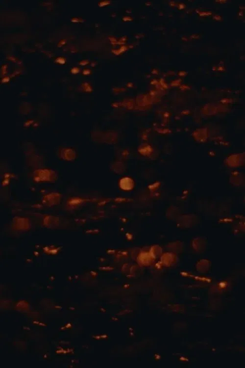 Moonglade movie poster