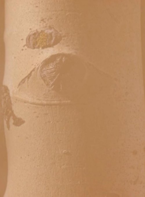 And Their Eyes Are Not Watching Us movie poster