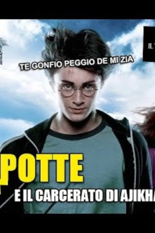 ERRIPOTTE E IL CARCERATO DI AJKSGFIAHJGFD movie poster