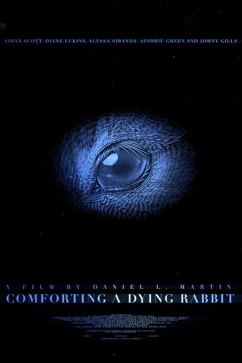 Comforting A Dying Rabbit movie poster