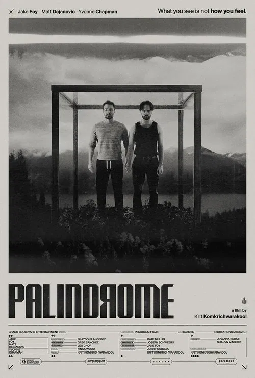Palindrome movie poster