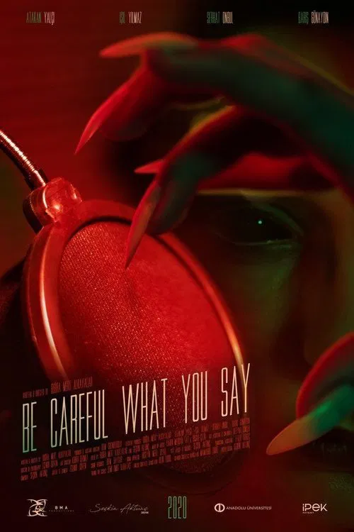 Be Careful What You Say movie poster