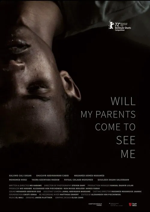 Will My Parents Come to See Me movie poster