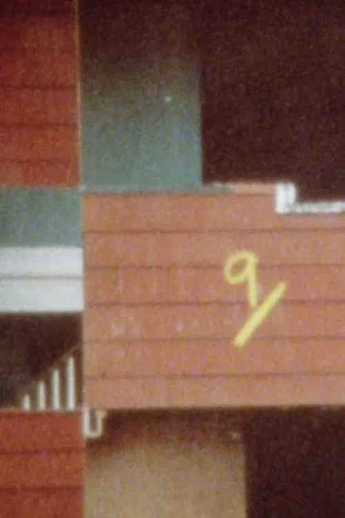 Bingo/Ninths movie poster