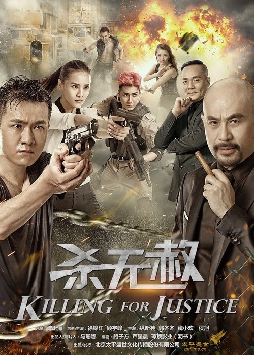 Killing For Justice movie poster