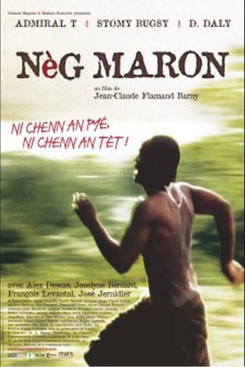Poster do filme Nèg maron