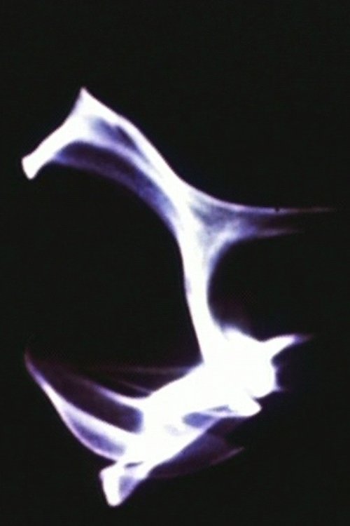 Light Reflections movie poster