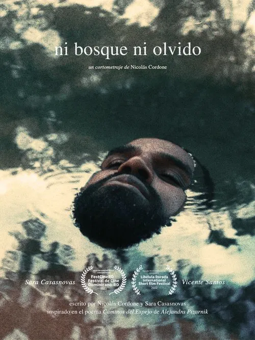 Poster do filme Neither forest nor oblivion
