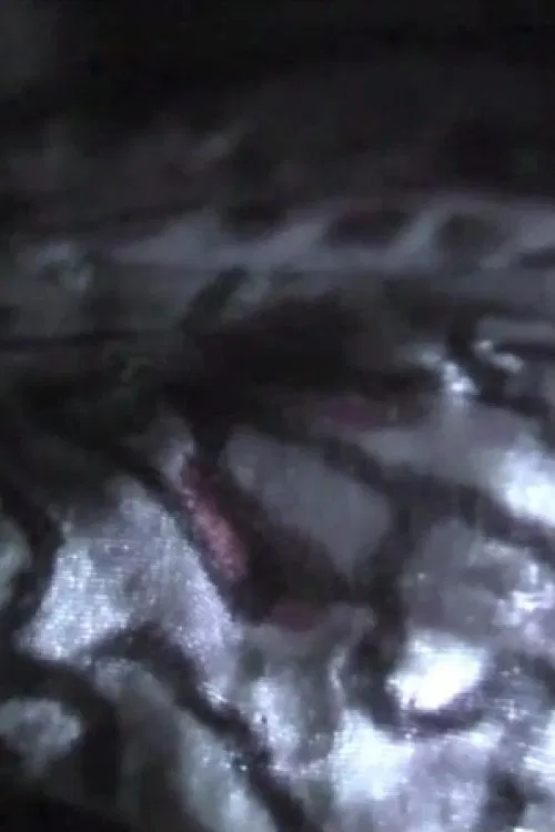 Venezia 70 – Future Reloaded: Claire Denis movie poster