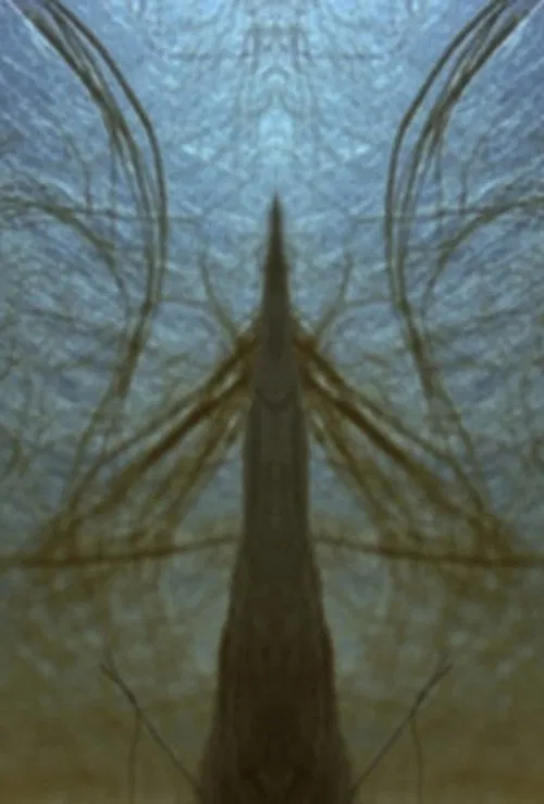 Poster do filme Mote It Be