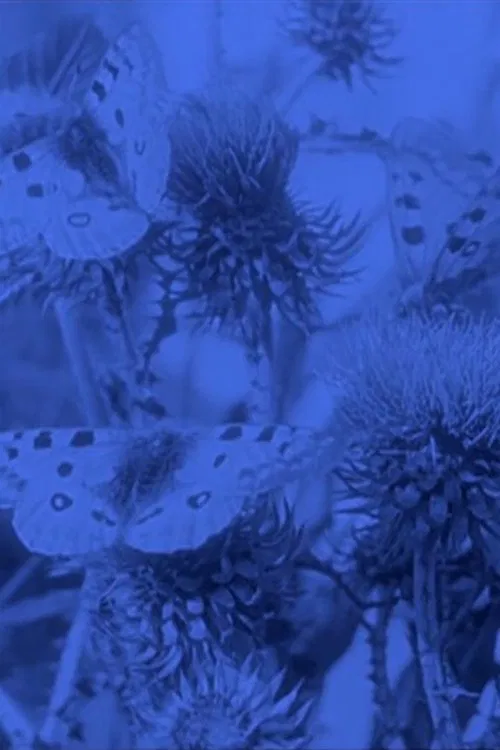 The Life of the Butterfly movie poster