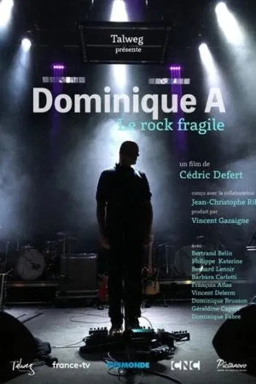 Dominique A, le rock fragile movie poster