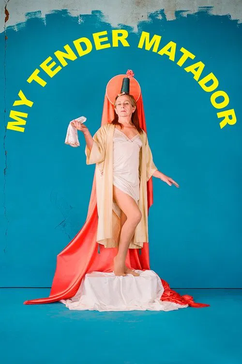 My Tender Matador movie poster