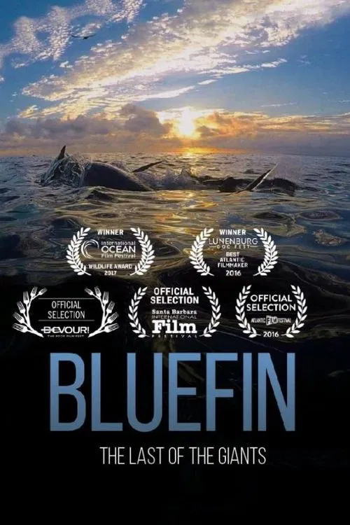 Bluefin movie poster