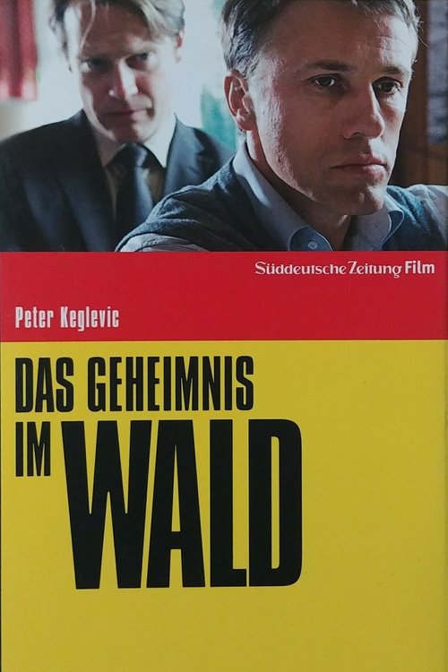 Das Geheimnis im Wald movie poster
