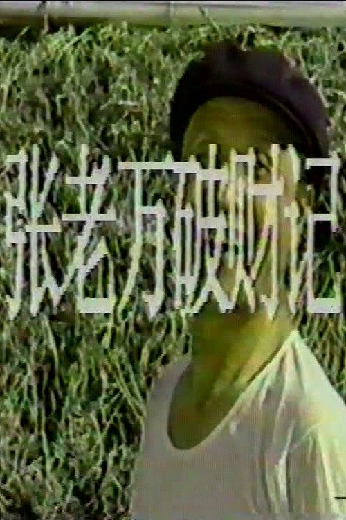 张老万破财记 movie poster