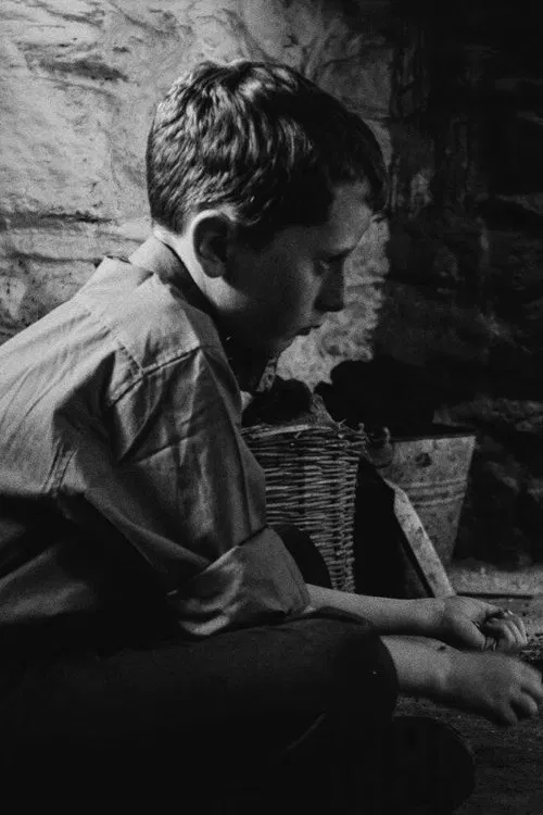 Poster do filme The Welfare of Tomás Ó Hallissy