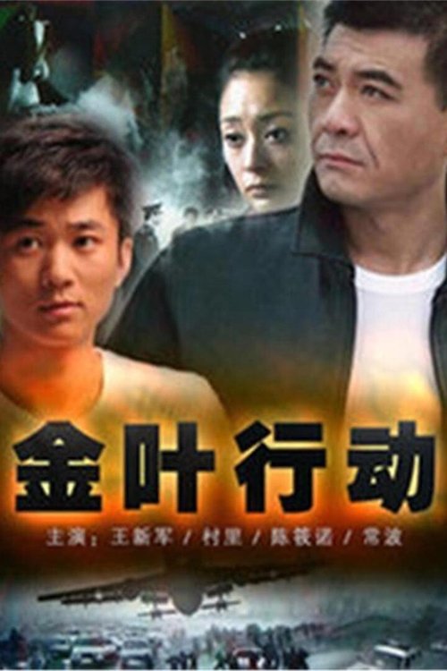 Jin Xie Xing Dong tv show poster