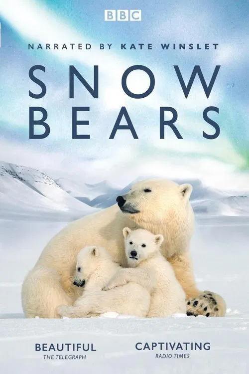 Snow Bears movie poster