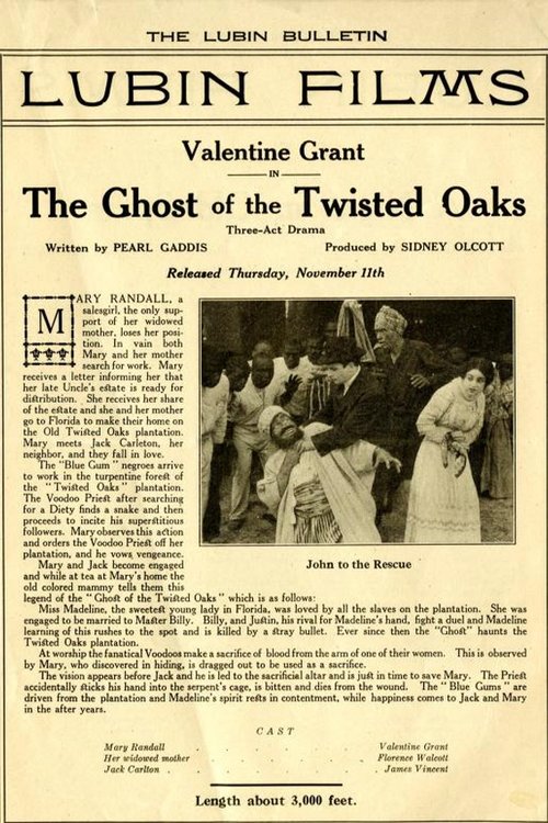 The Ghost of Twisted Oaks movie poster