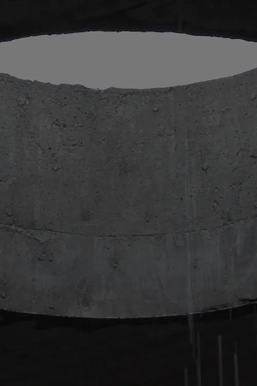 Duchamp Reality movie poster