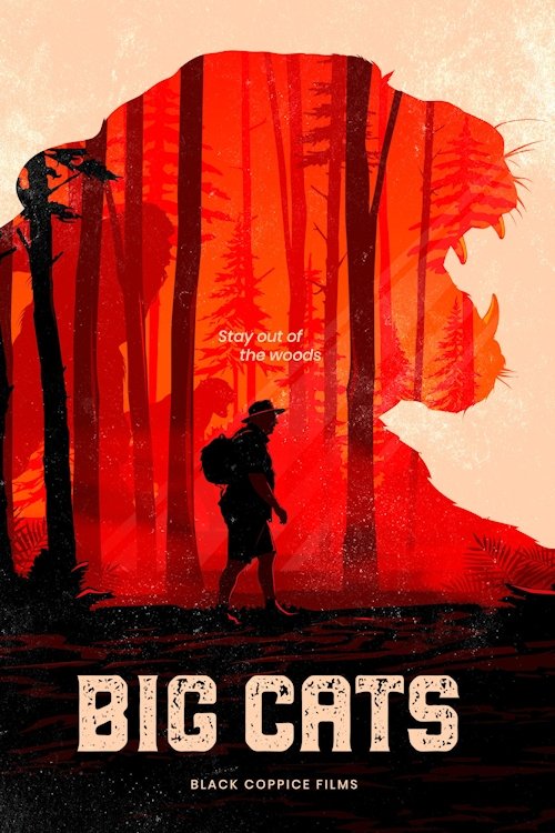 Big Cats movie poster