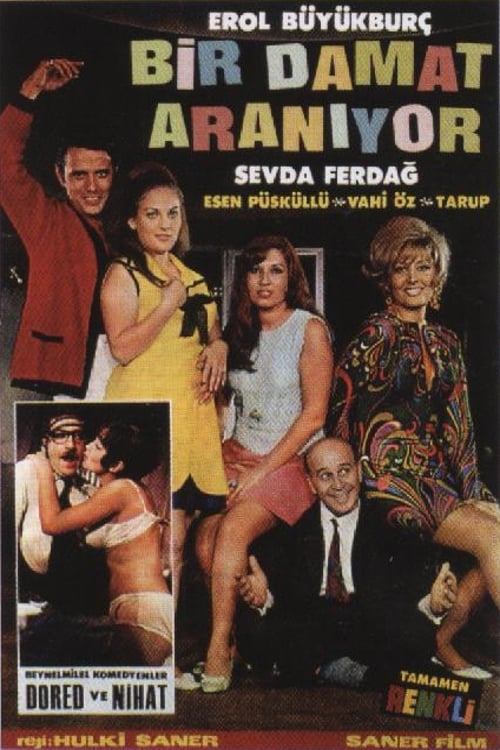 Bir Damat Aranıyor movie poster