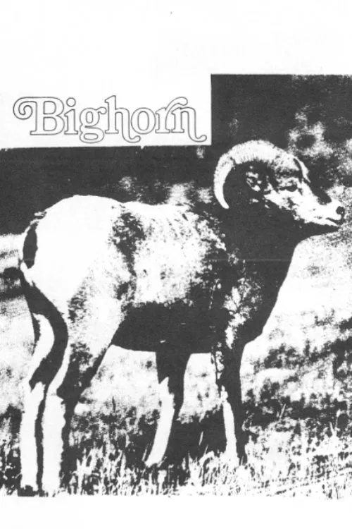 Poster do filme Bighorn