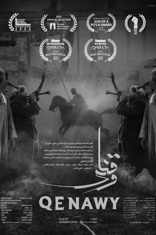 QENAWY movie poster
