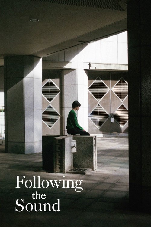 Following the Sound movie poster