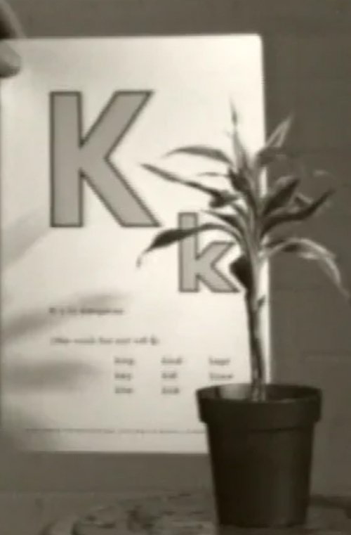 Teaching a Plant the Alphabet movie poster