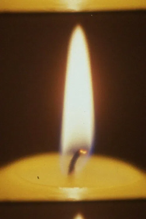 Echo Chamber movie poster