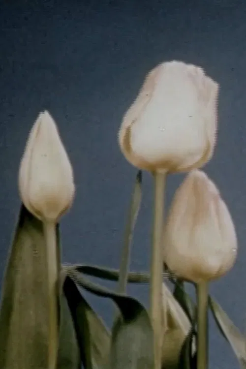 Lulu's Journal movie poster