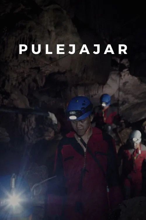 Pulejajar movie poster