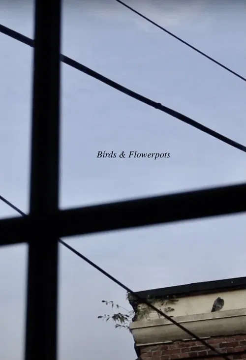 Birds & Flowerpots movie poster