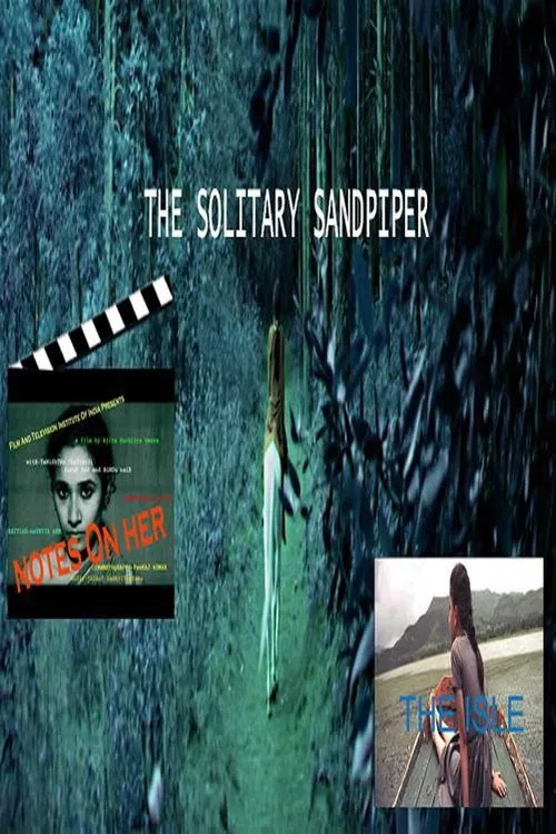 The solitary sandpiper movie poster