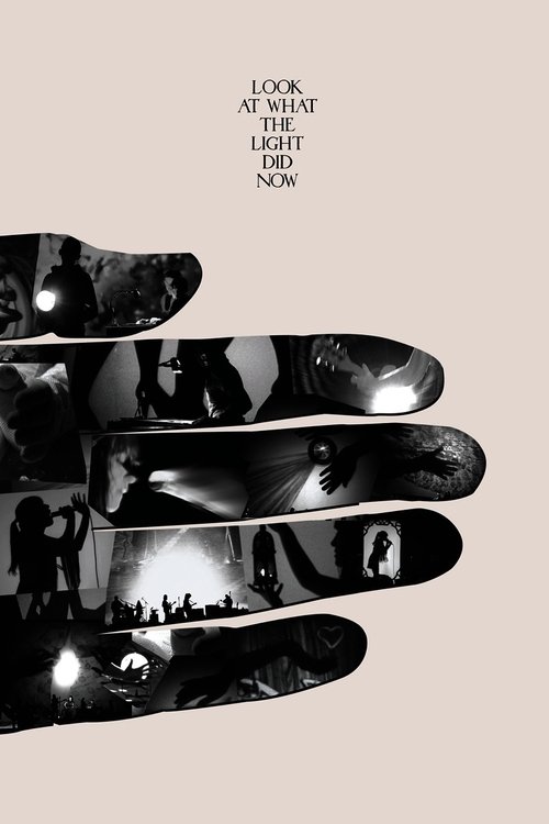 Look at What the Light Did Now movie poster