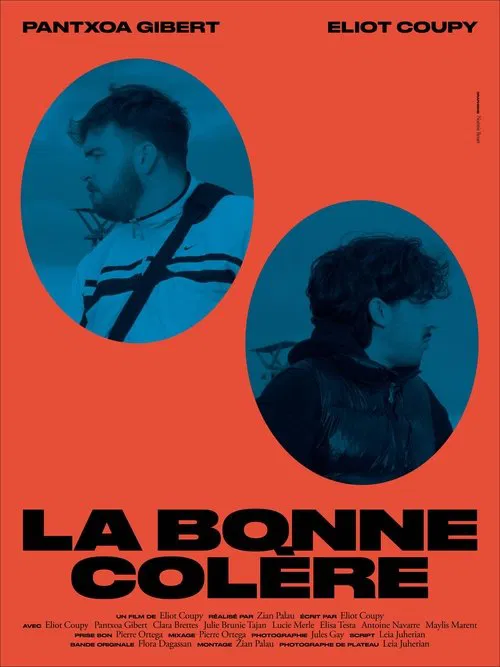 La Bonne Colère movie poster
