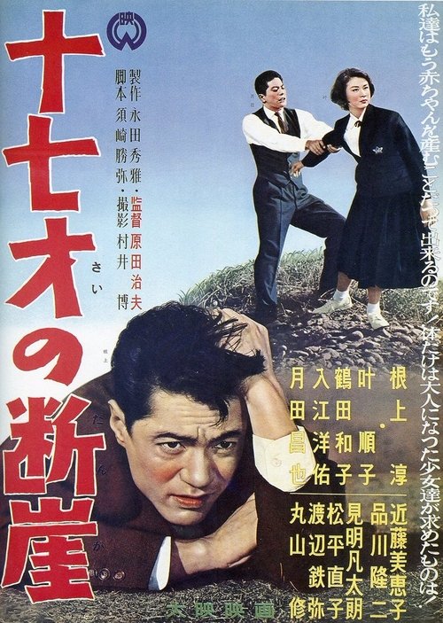 Jū nana-sai no dangai movie poster