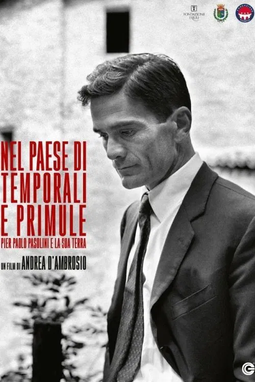 Nel paese di temporali e di primule - Pier Paolo Pasolini e la sua terra movie poster