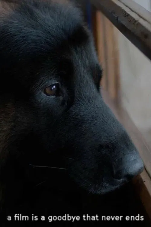 a film is a goodbye that never ends movie poster