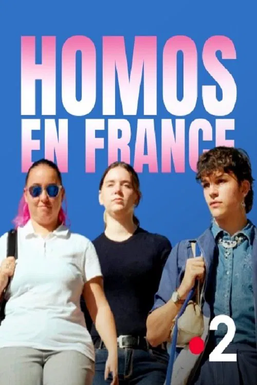 Homos in France movie poster
