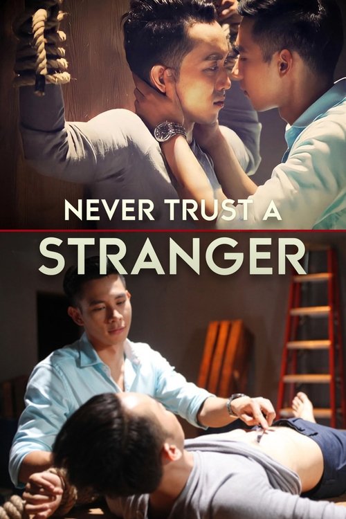 Never Trust a Stranger movie poster